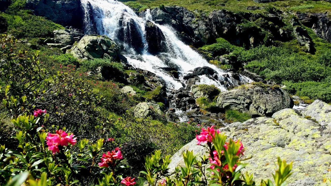 Offener Gebirgswasserfall mit Felsen und Blumen
